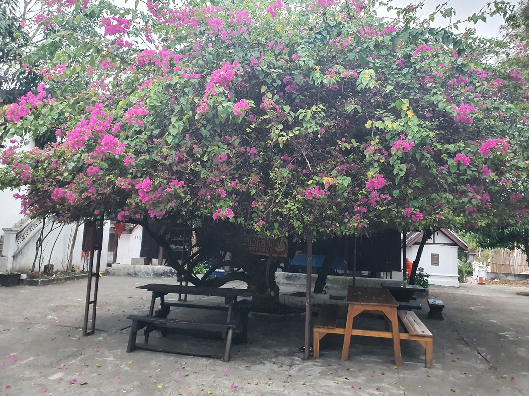 Wat Sop Sickharam Luang Prabang-琅勃拉邦必去景点