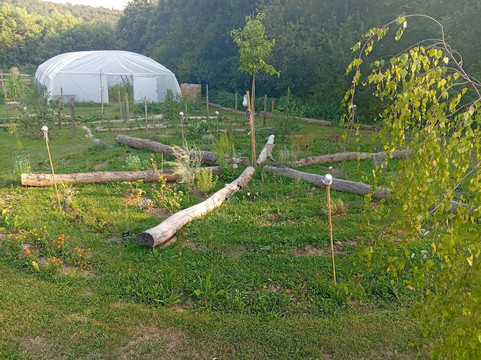 Ô P'tit Creux du Jardin