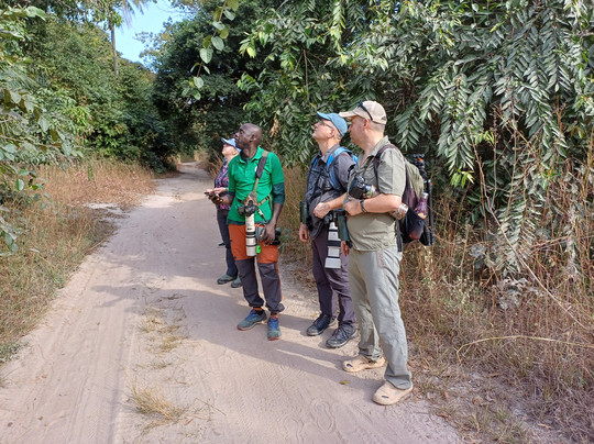Gambian Bird Guide Ansuman Drammeh -  Best Boy Tours-塞瑞库达必去景点