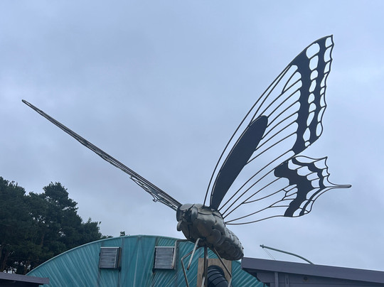 The Bug Parc-Lenwade必去景点