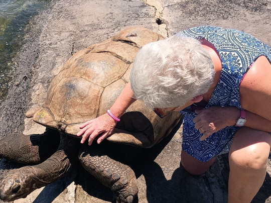 Apollon Cruise-Palmar必去景点