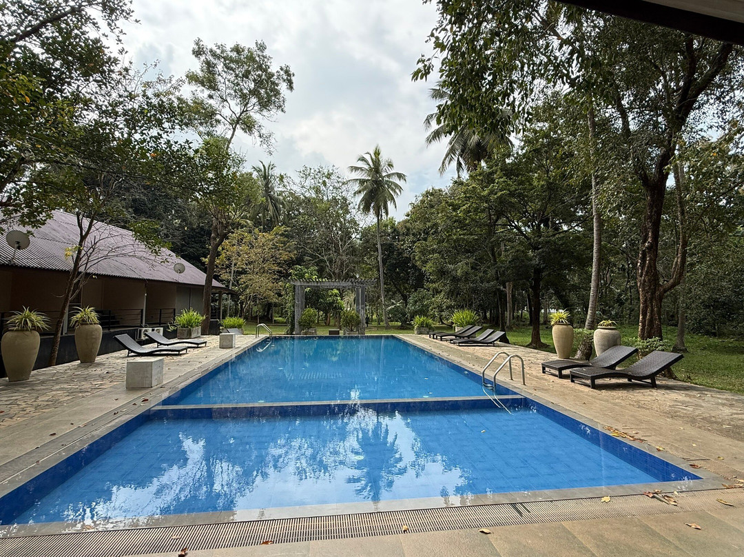 Athena Lake by Seedevi主图