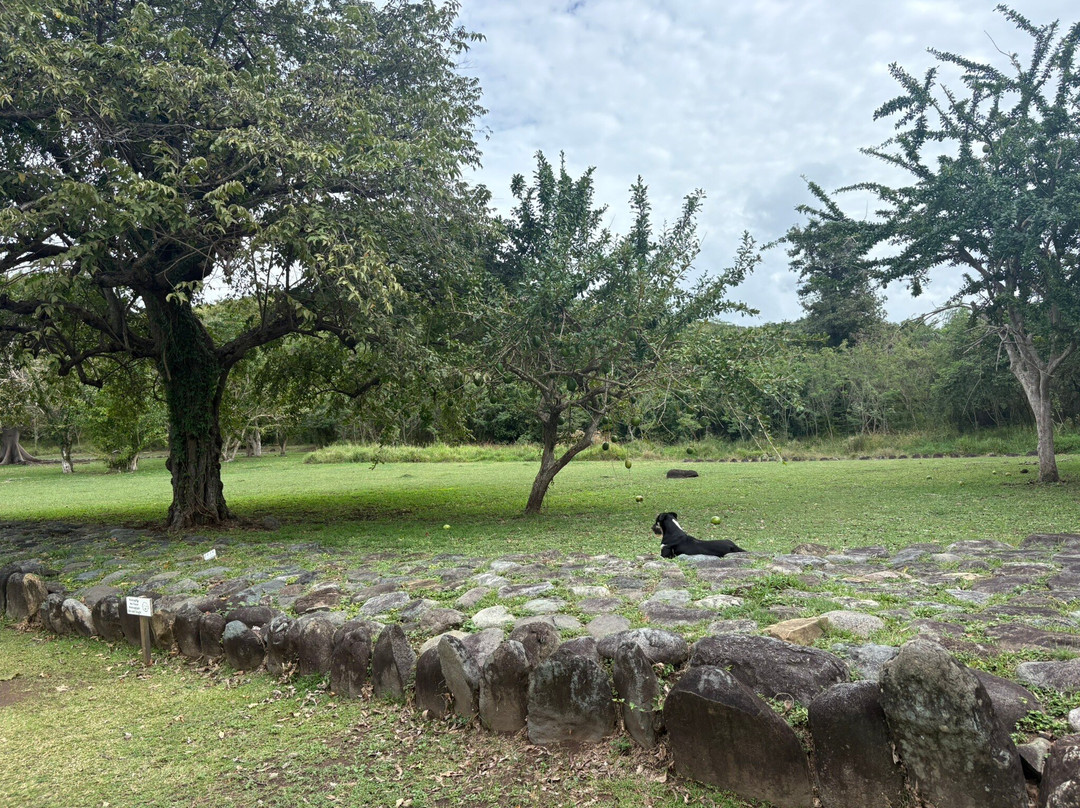 Tibes Indigenous Ceremonial Center-庞塞必去景点