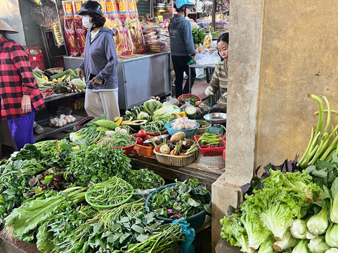 Spring Onion Family Tour-会安必去景点