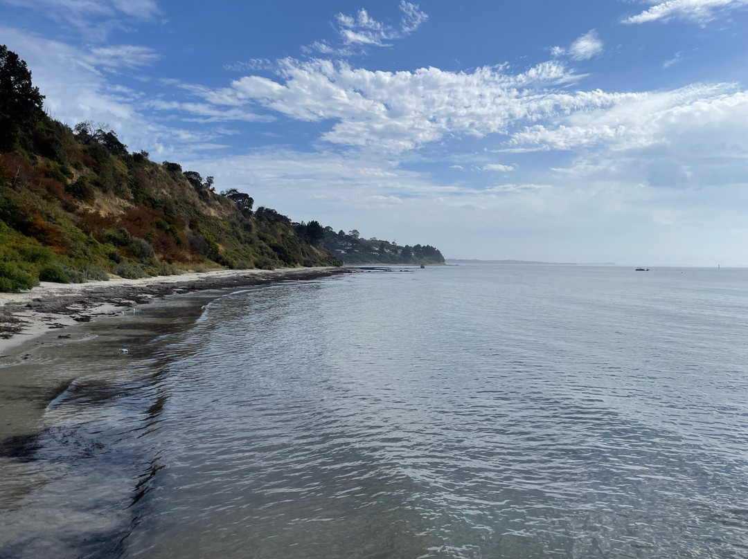 Flinders pier-弗林德斯必去景点