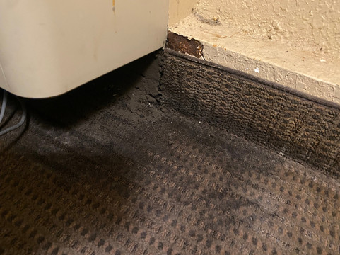 奥卡拉/贝尔维尤舒眠套房酒店主图