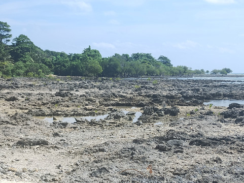 Ram Nagar Beach-Neil Island必去景点