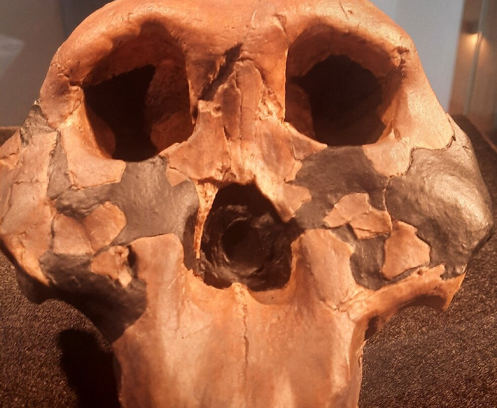 Mae - Museo Archeologico Ernico-Anagni必去景点