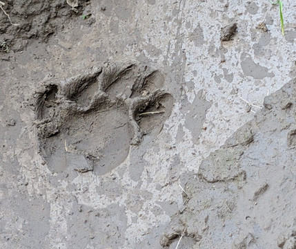 Janu Private Tours-斋蒲尔必去景点