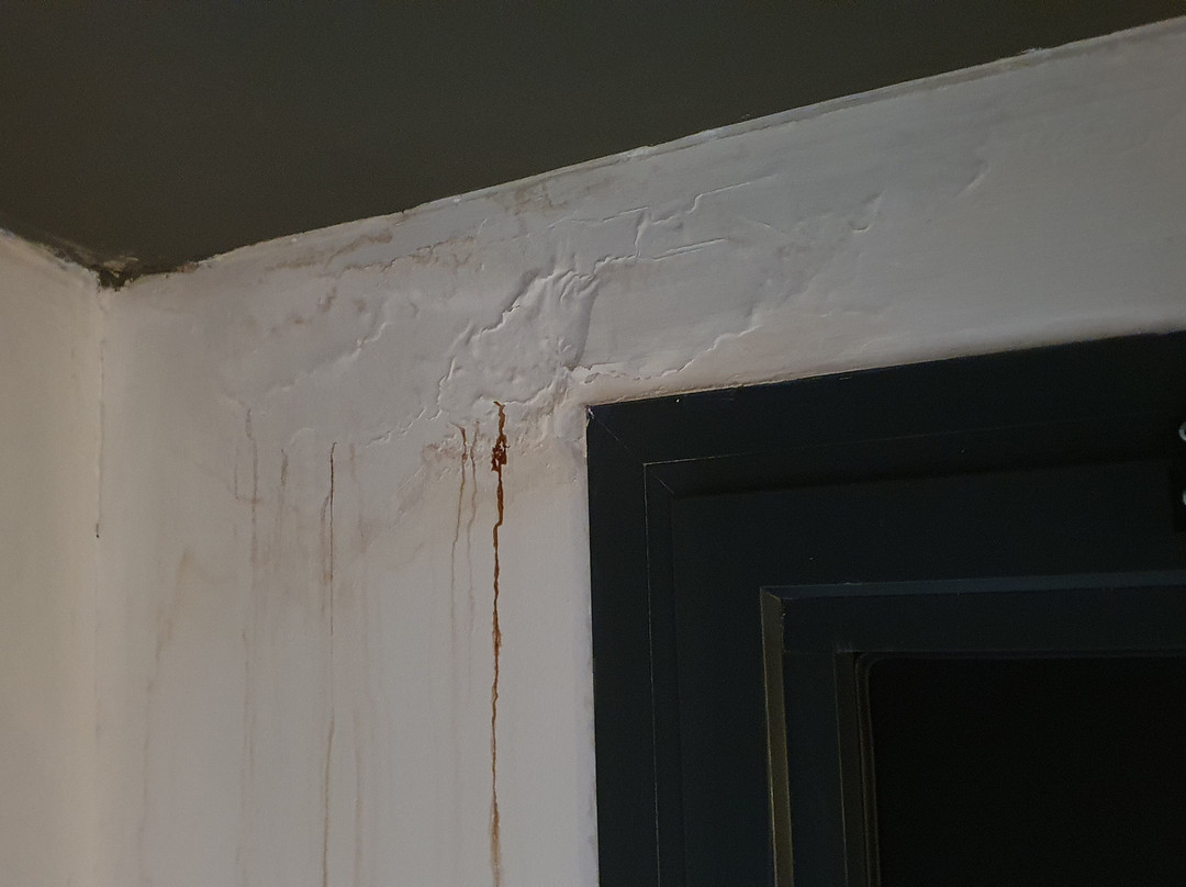 圣但尼的迪纳莫尔加宾主图