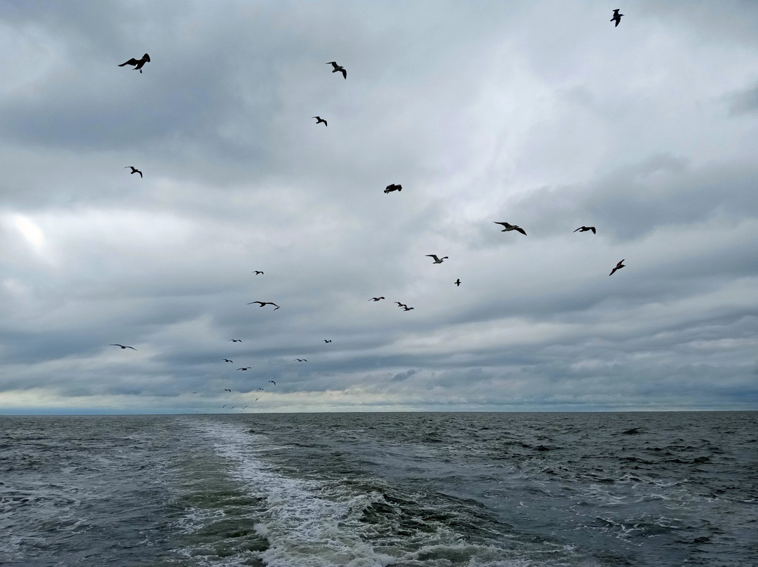 Cape May - Lewes Ferry-刘易斯必去景点