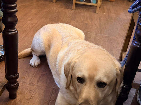 Lane Ends Pub-Wesham必去景点