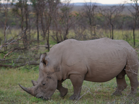 Bridge and Beyond-布莱恩斯顿必去景点