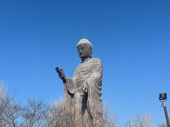 Ushiku Daibutsu-牛久市必去景点