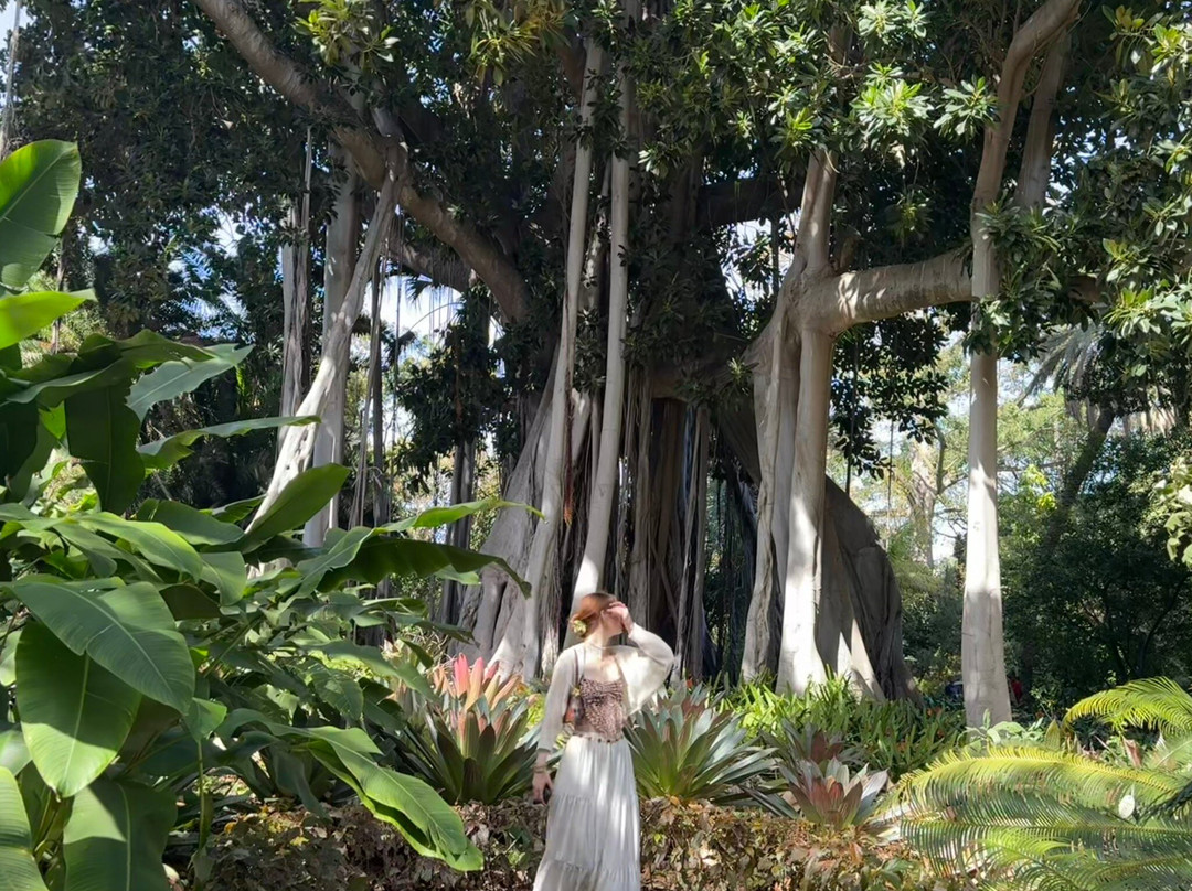 Botanischer Garten-德拉克鲁兹索尔港必去景点