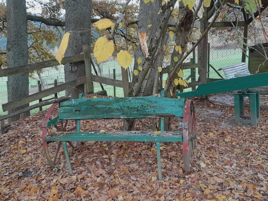 大香槟酒店主图