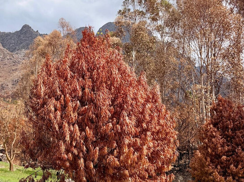 Stony Brook Vineyards-法兰舒克必去景点