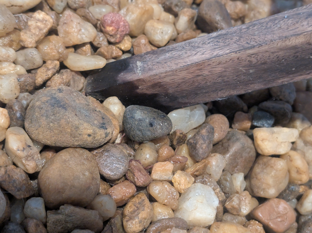 加勒丛林阁楼主图