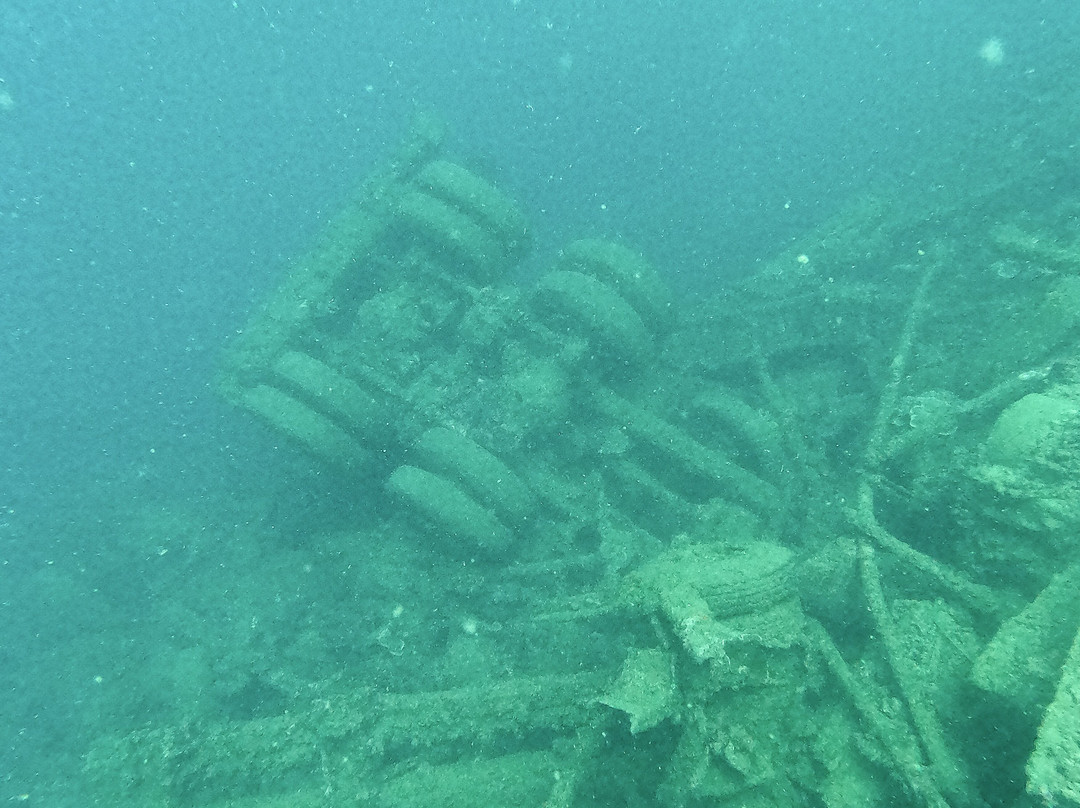 Pacific Dive-卢甘维尔必去景点