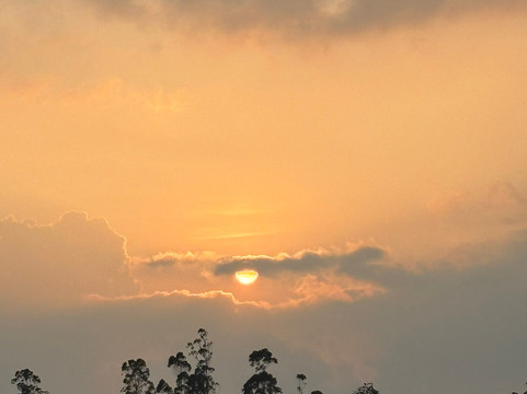 H.O.T Tourism-科伦坡必去景点