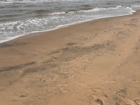 Alma Guajira-Riohacha必去景点