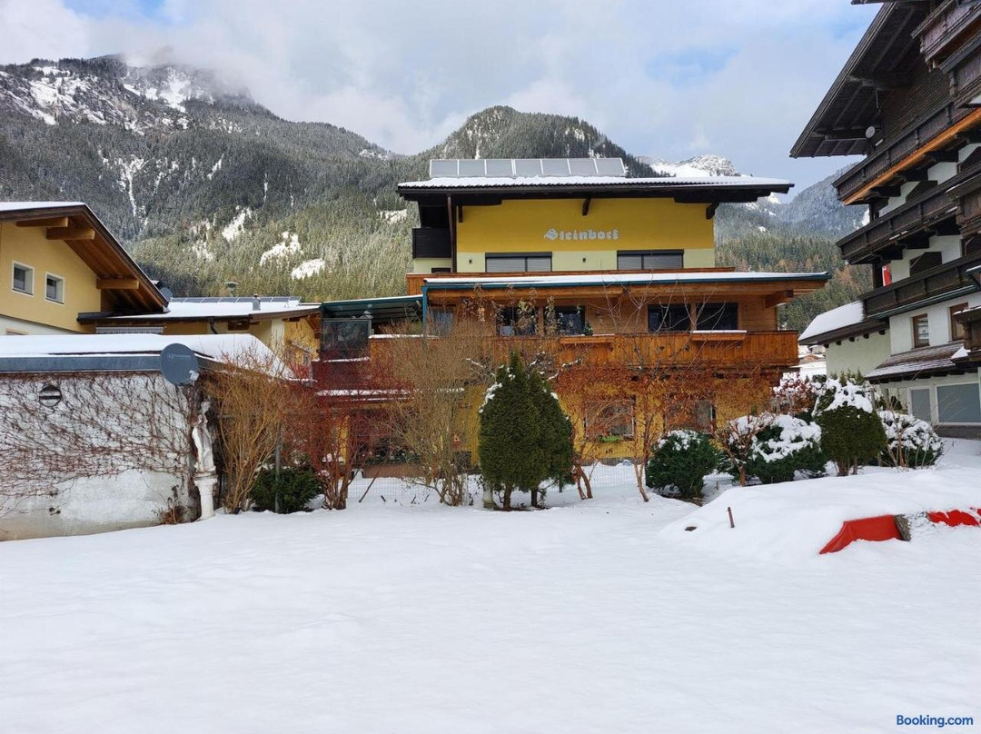 Pension Steinbock