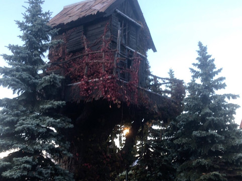 Lìm Lịm Doughhaus