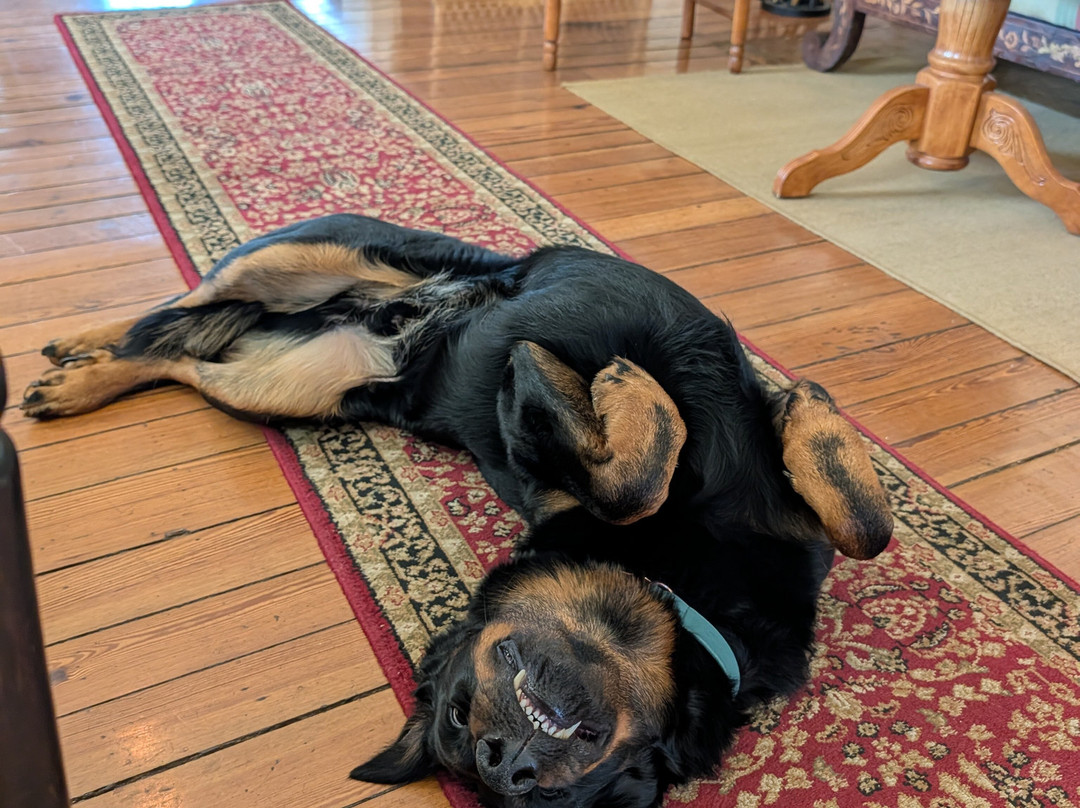 Inn at Montross主图