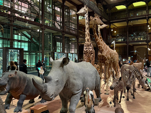 大演化厅-巴黎必去景点