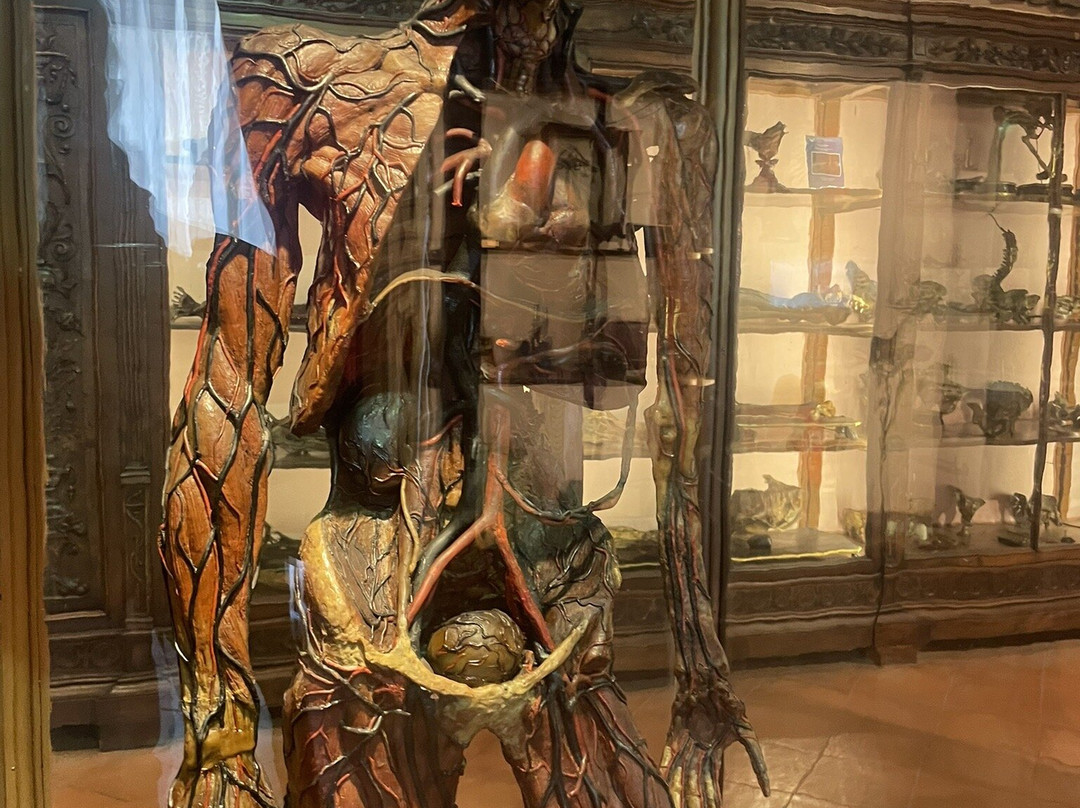 MUSA - Museo Universitario delle Scienze e delle Arti-那不勒斯必去景点
