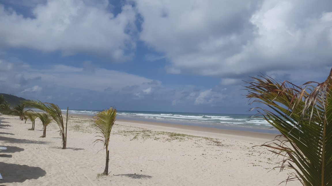 Ilheus North Hotel-官方