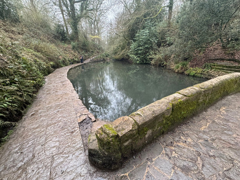 Ninesprings Country Park-约维尔必去景点