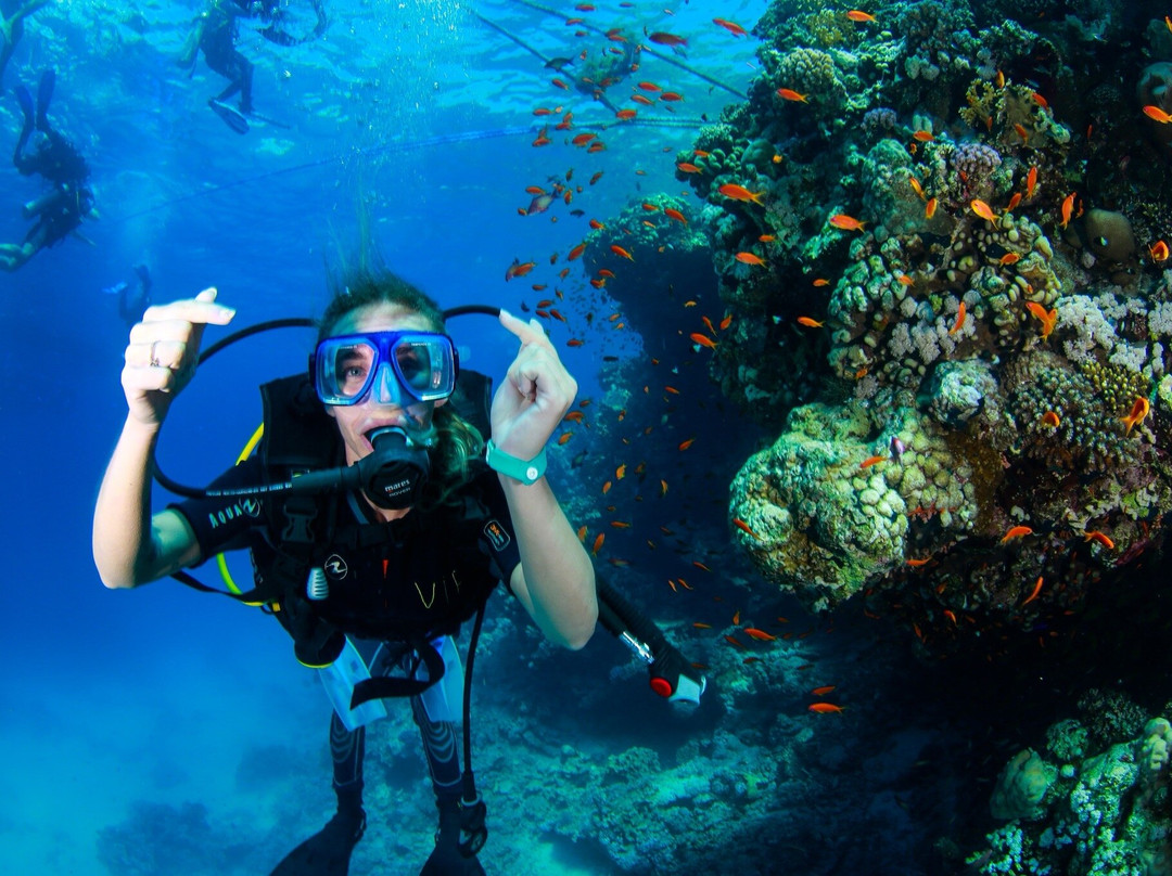 VIP Diving College-沙姆沙伊赫必去景点