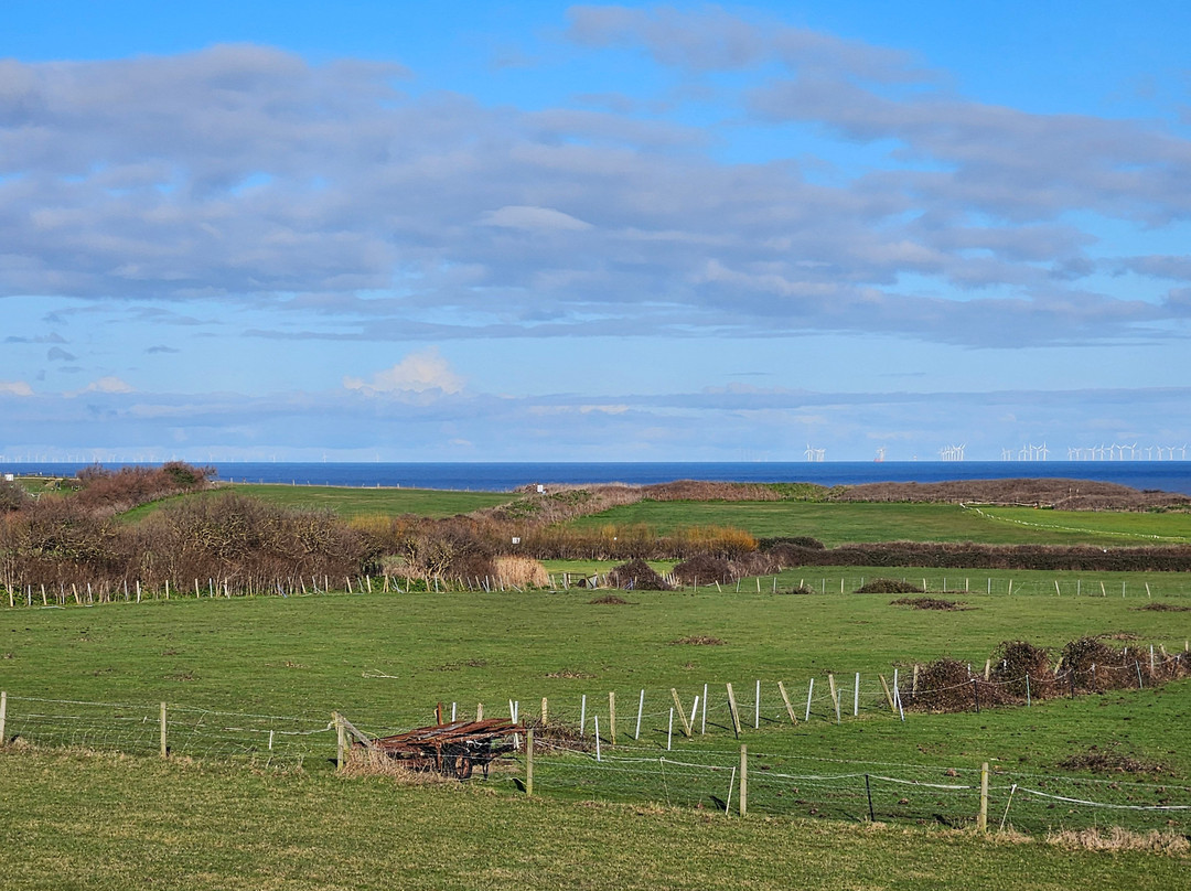 多米之家酒店主图