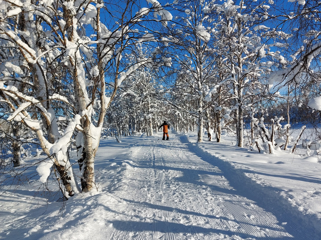 Lappitrek-Kittilä必去景点