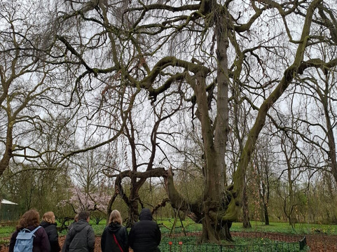 Botanical Garden Arboretum Oudenbosch-Oudenbosch必去景点