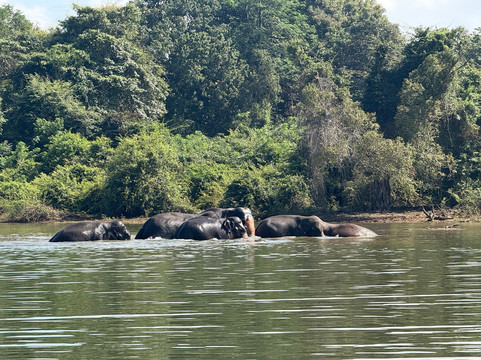 Different Discovery Tours-卡图纳耶克必去景点