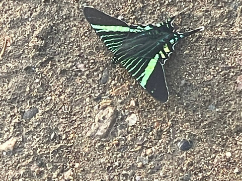 Rancho Corcovado-Bahia Drake必去景点