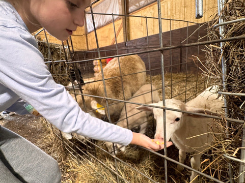 Cress Creeks Farm And Corn Maze-Ellijay必去景点