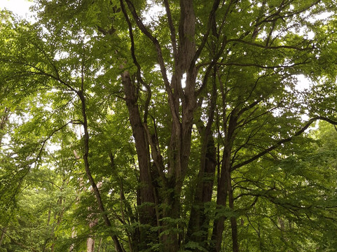 Daisetsuzan National Park-北海道必去景点