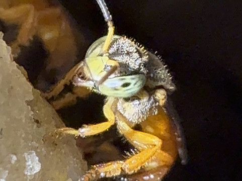 Allan Explorer-Upala必去景点