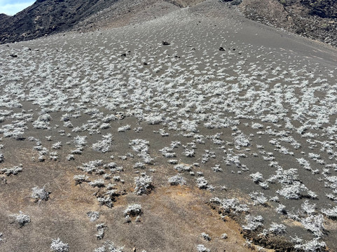 Go Galápagos Tours-Baltra必去景点