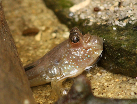 The Living Rainforest-纽伯里必去景点