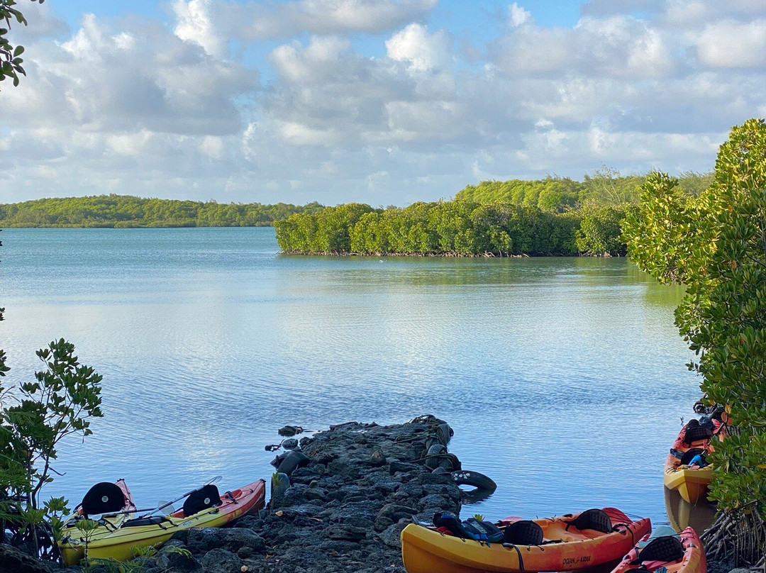 Sea Kayak Adventures-毛里求斯必去景点