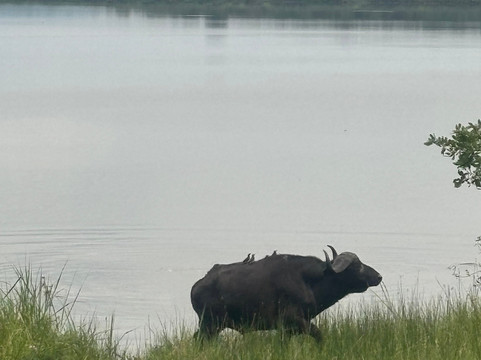 Ikaze Rwanda Tours & Travel-吉佳利必去景点