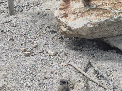 Città Della Domenica-佩鲁贾必去景点