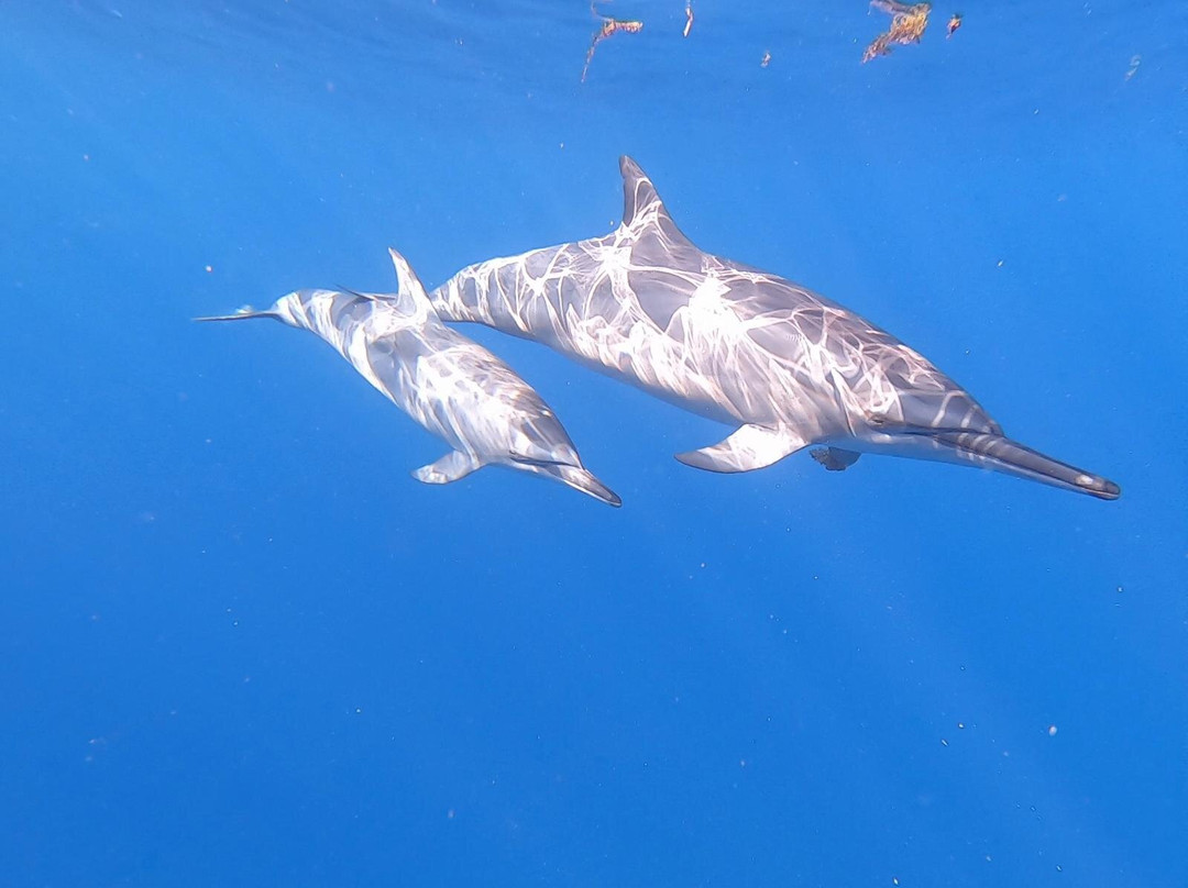Lifestyle Boating Mauritius-贝尔欧布莱必去景点