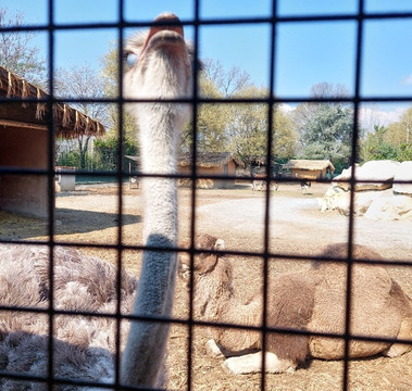 Parco Faunistico Le Cornelle-Valbrembo必去景点