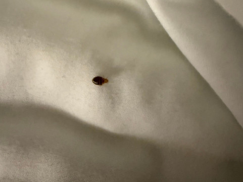 新奥尔巴尼路易斯维尔西欢朋酒店主图