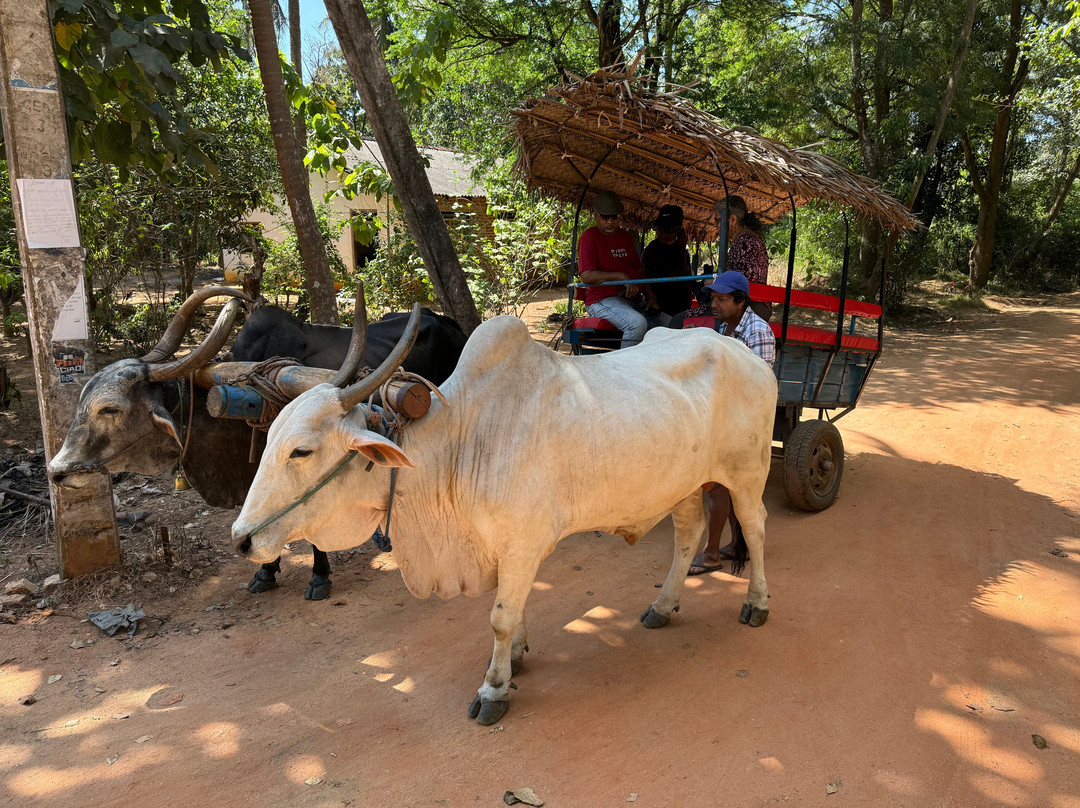 Hiriwadunna Village & Jeep Safari No 4-Hiriwadunna必去景点
